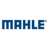 MAHLE-WHALER