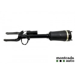 Αμορτισέρ εμπρός r l ml L a1643206013 a1643204613