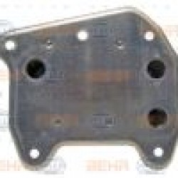 Ψυγείο Λαδιού Κινητήρα Sprinter CDI Mercedes Benz