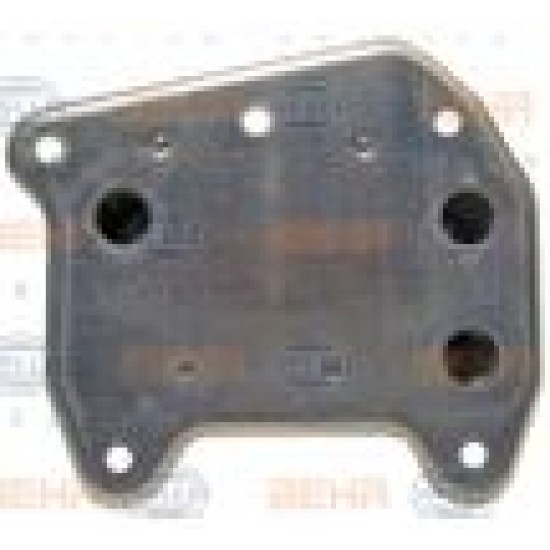 Ψυγείο Λαδιού Κινητήρα Sprinter CDI Mercedes Benz